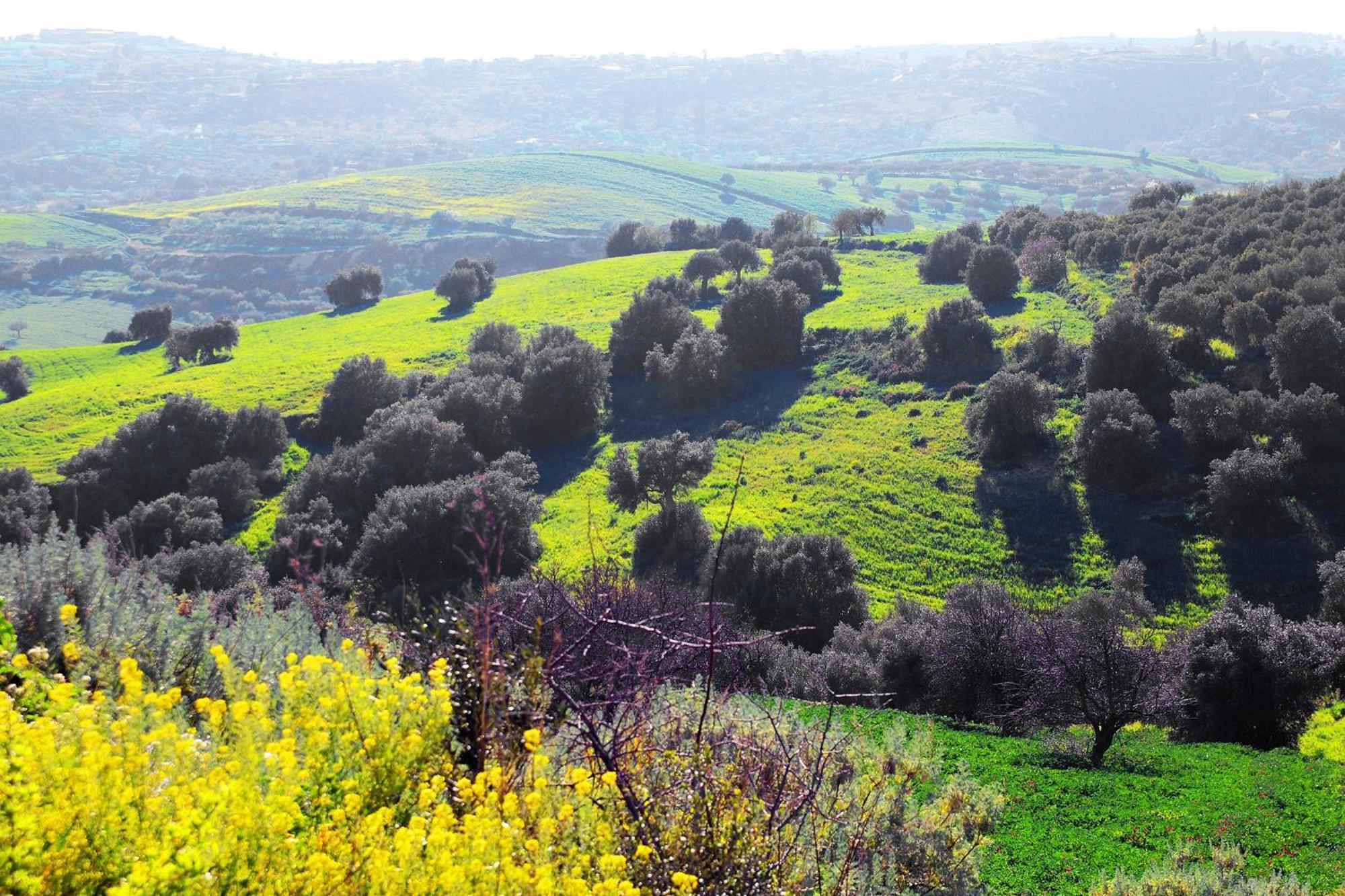 Agriturismo Giannavi Palazzolo Acreide Buitenkant foto